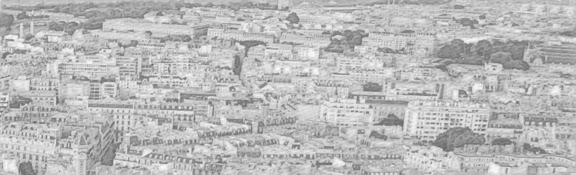 Die Dächer der Stadt Paris.