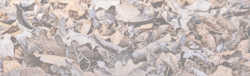 Foto von hügelicher Lanschaft.